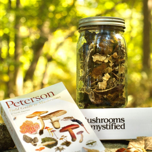 Adaptogens in the Wild: Upstate Mushroom ID Walk