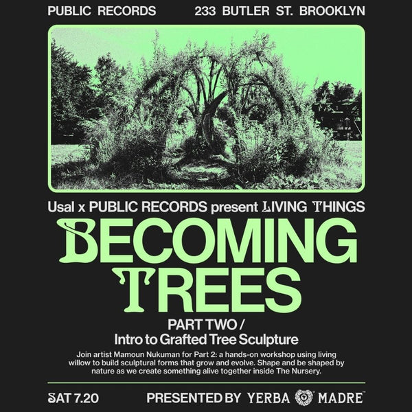 Usal & Public Records – Intro To Grafted Tree Sculpture
