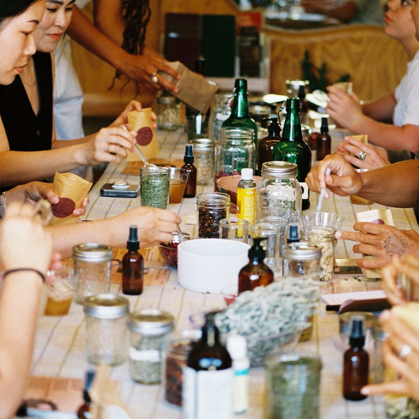 Crafting Herbal Medicine for Summer: Tea & Tincture