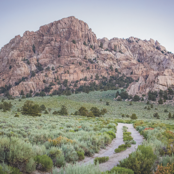 Eastern Sierra Fall Camp Trip