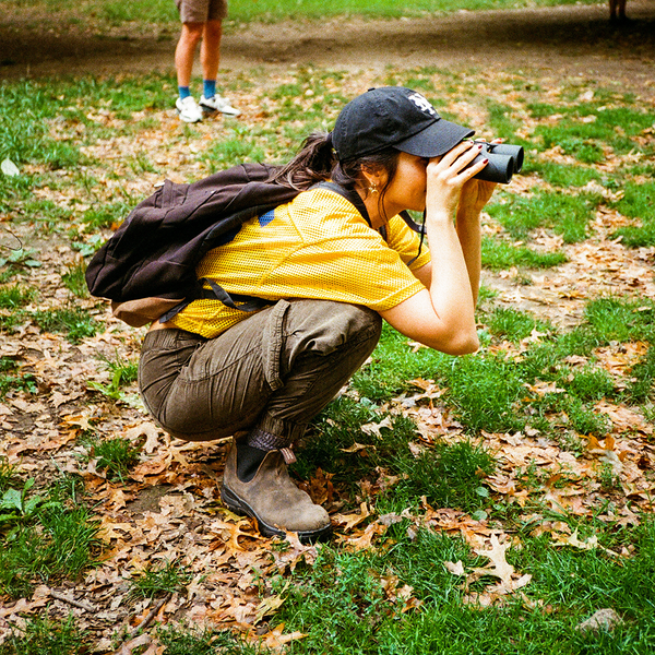 Brooklyn Birding Walk