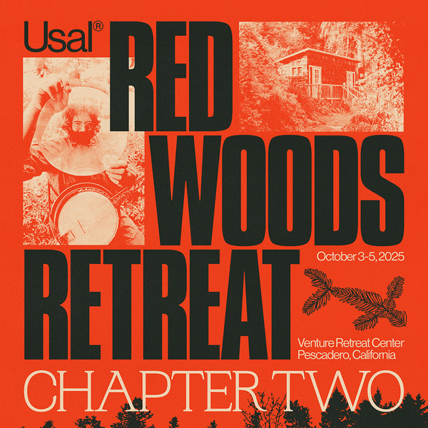 Redwoods Camping Retreat – Chapter Two