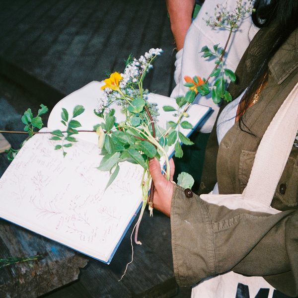 Foraging – Prospect Park