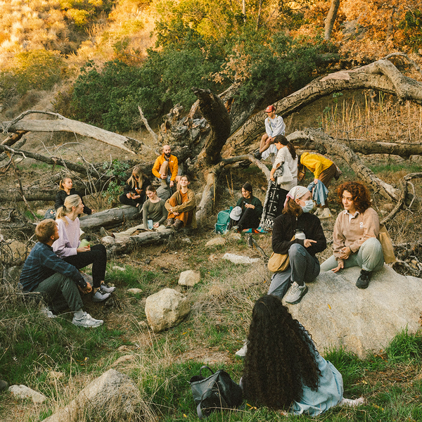 Forest Therapy