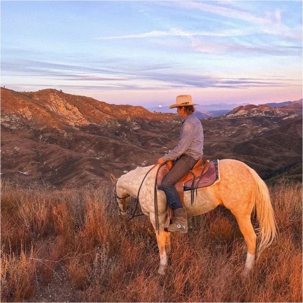 Canyon Trail Horseback Riding