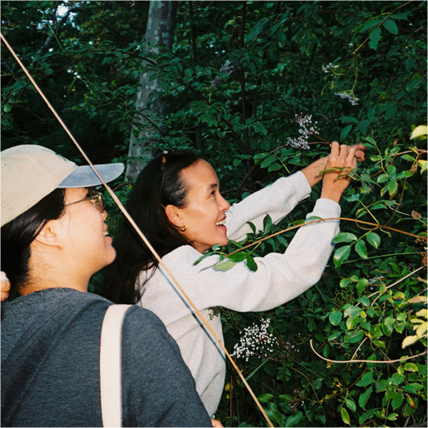 Go Raw: Foraging and Plant Identification Hike