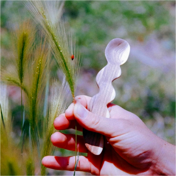Natural Spoon Carving