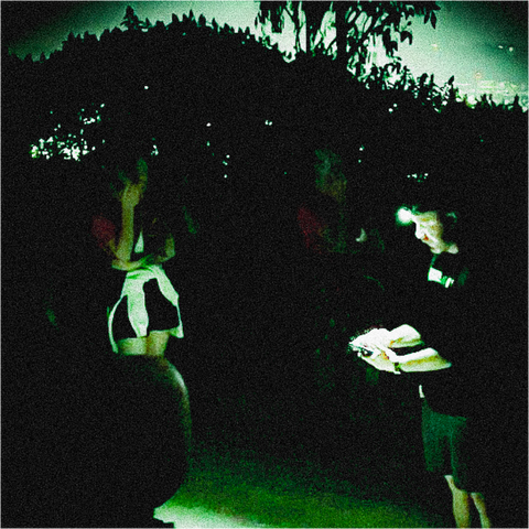 Glowworm Night Hike