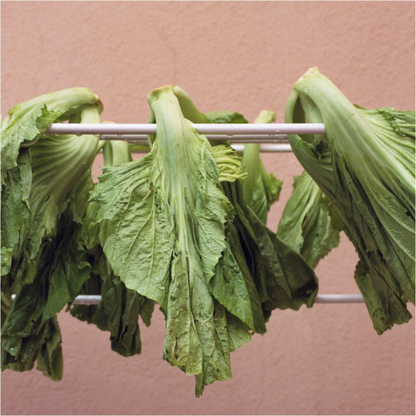 Chinese Fermentation + Cooking Workshop