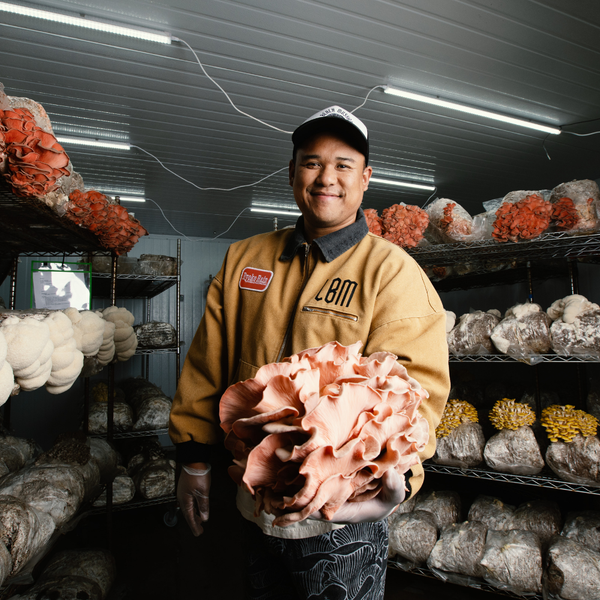 Mushroom Grow Kit Class