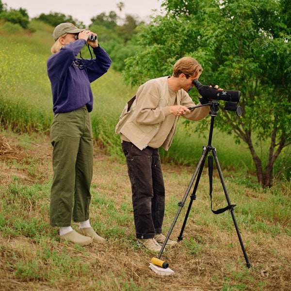 Creative Birdwatching