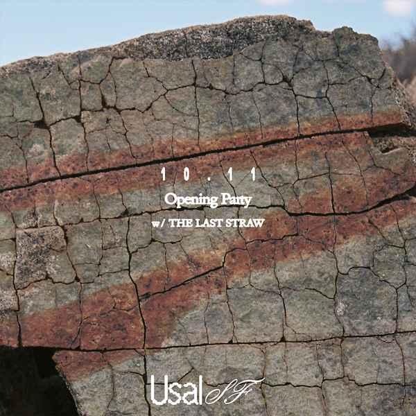 Usal SF Opening Party
